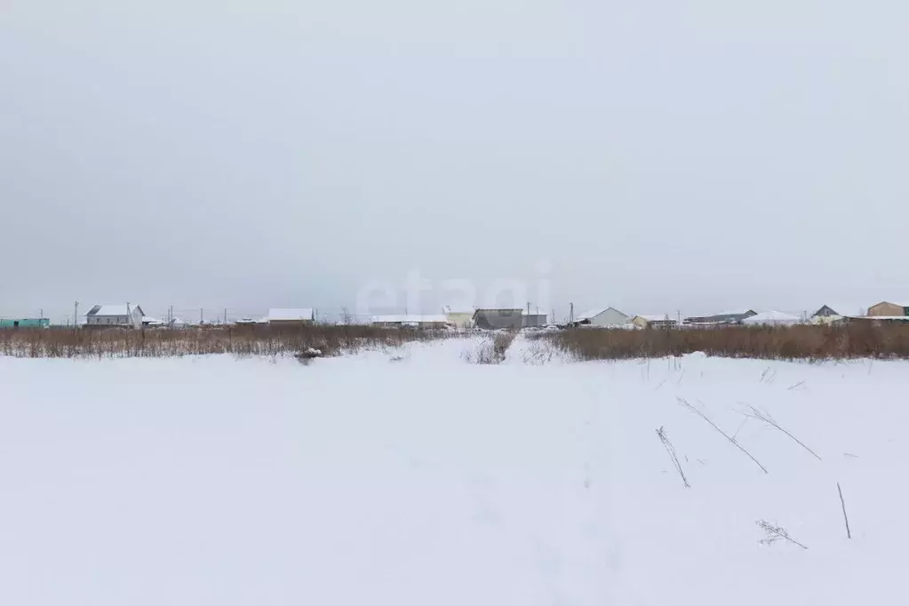 Участок в Тюменская область, Тюменский муниципальный округ, Садовые ... - Фото 2