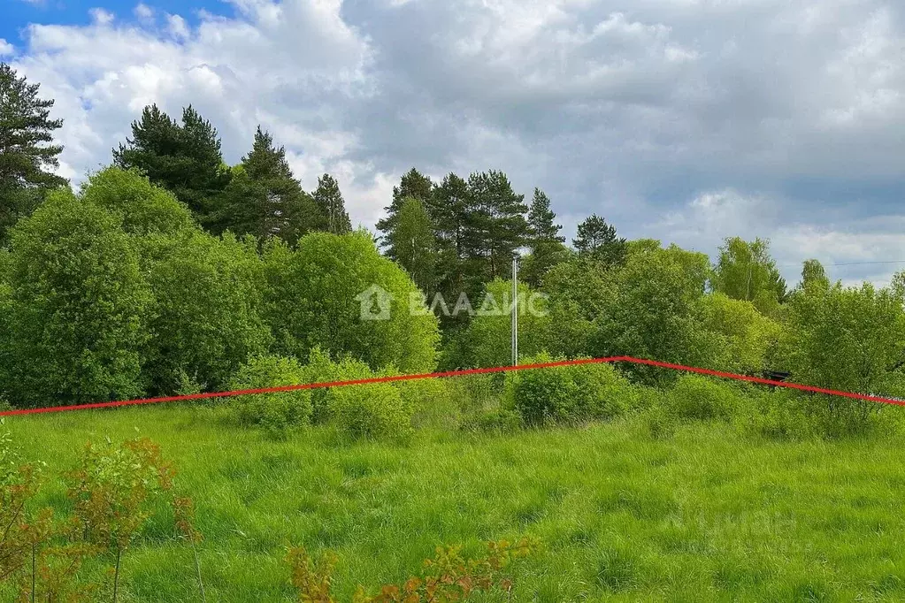 Участок в Владимирская область, Собинский муниципальный округ, ... - Фото 2