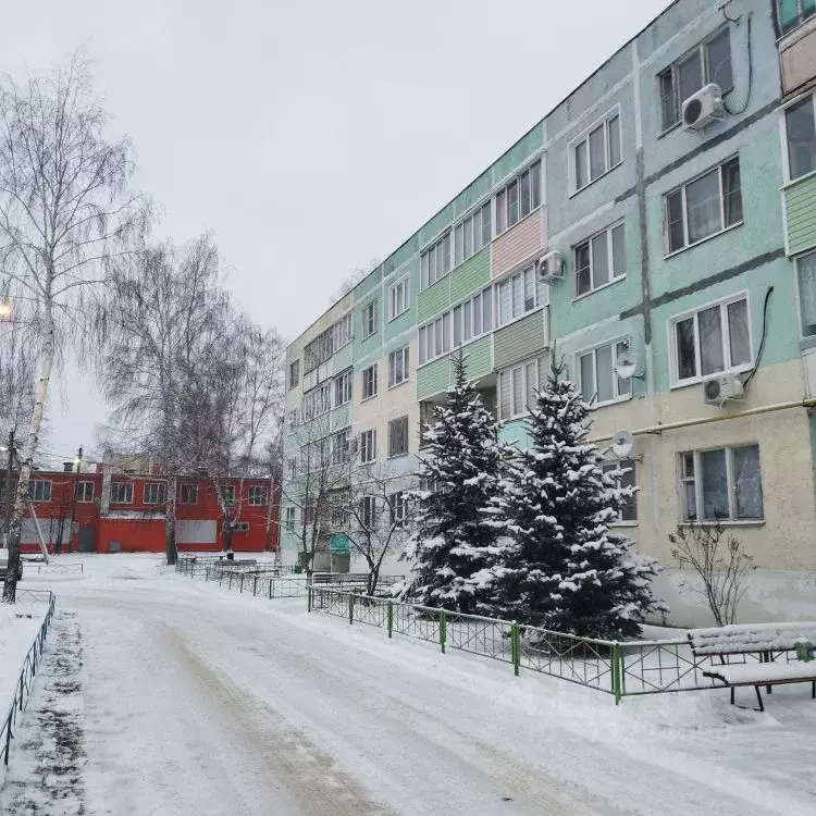 1-к кв. Московская область, Шатура муниципальный округ, с. Пышлицы 34 ... - Фото 0