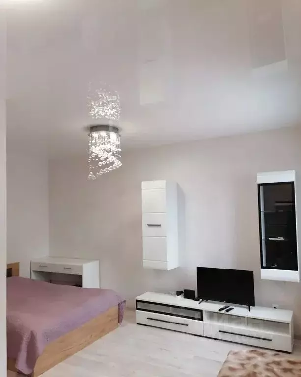 Студия Карелия, Петрозаводск бул. Интернационалистов, 8 (33.0 м) - Фото 2