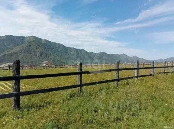 Участок в Алтай, Чемальский район, Элекмонарское с/пос, с. Элекмонар ... - Фото 1