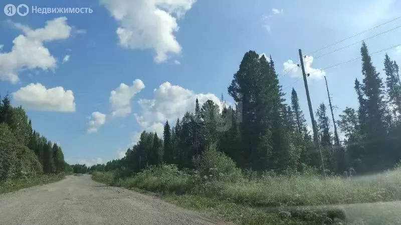 Участок в Томский район, деревня Халдеево (15 м) - Фото 1