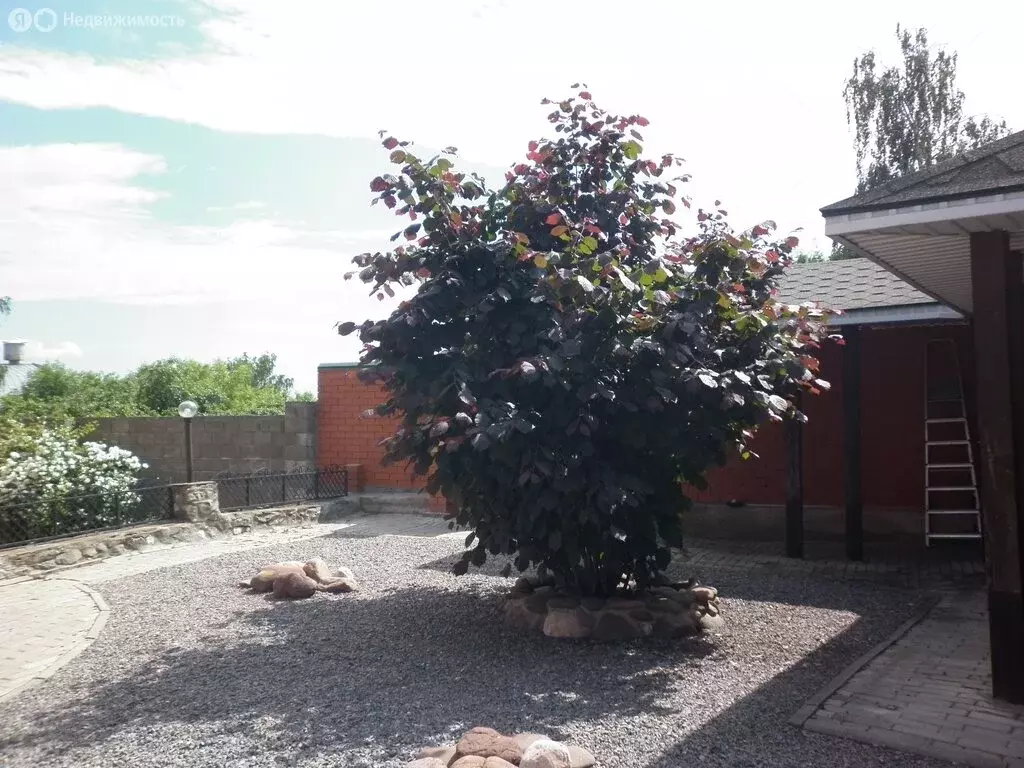 Дом в Пенза, улица Маршала Крылова (189 м) - Фото 2