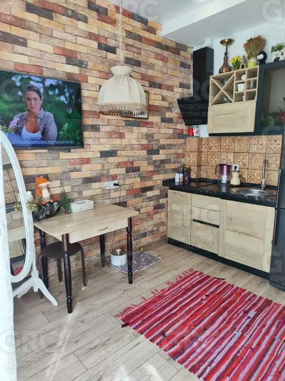 Студия Краснодарский край, Сочи ул. Яна Фабрициуса, 12/18 (20.8 м) - Фото 1