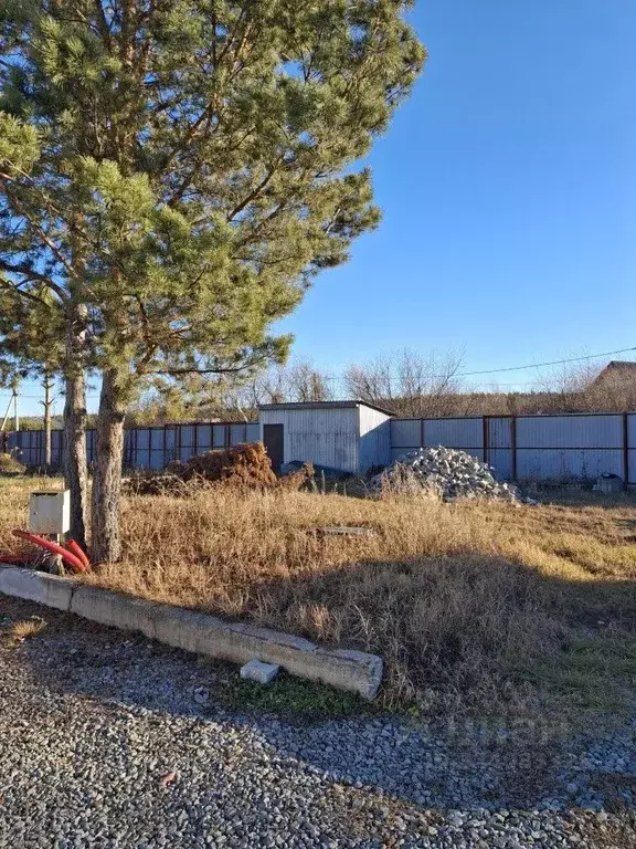 Участок в Свердловская область, Белоярский муниципальный округ, Ясень ... - Фото 2