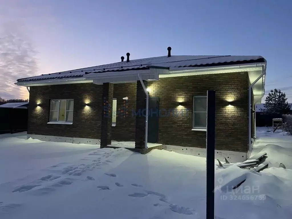 Дом в Нижегородская область, с. Безводное ул. Вячеслава Борисова, 7 ... - Фото 1