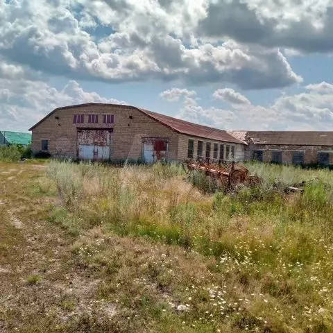 Продажа производственно-складского отдельно стоящего здания - Фото 0