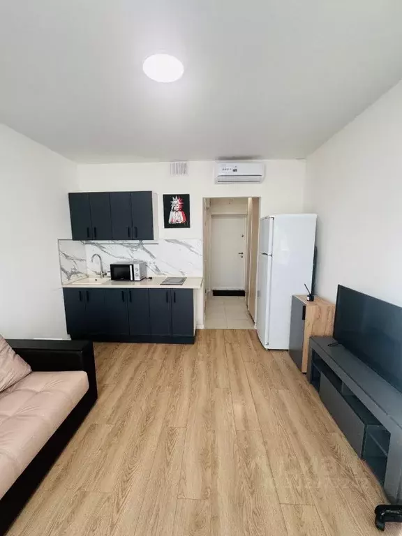Студия Московская область, Красногорск ул. Видная, 3 (20.0 м) - Фото 2