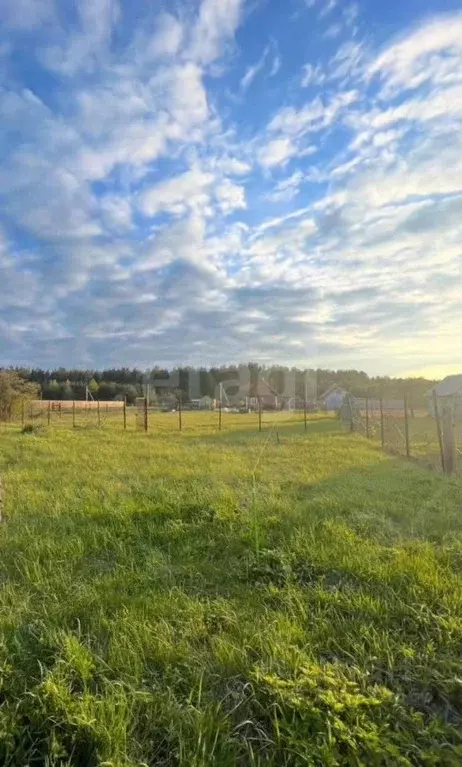 Участок в Московская область, Орехово-Зуевский городской округ, д. ... - Фото 1