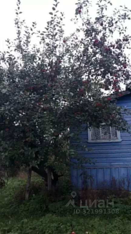 Дом в Костромская область, Судиславское с/пос, д. Готовка 8 (65 м) - Фото 2