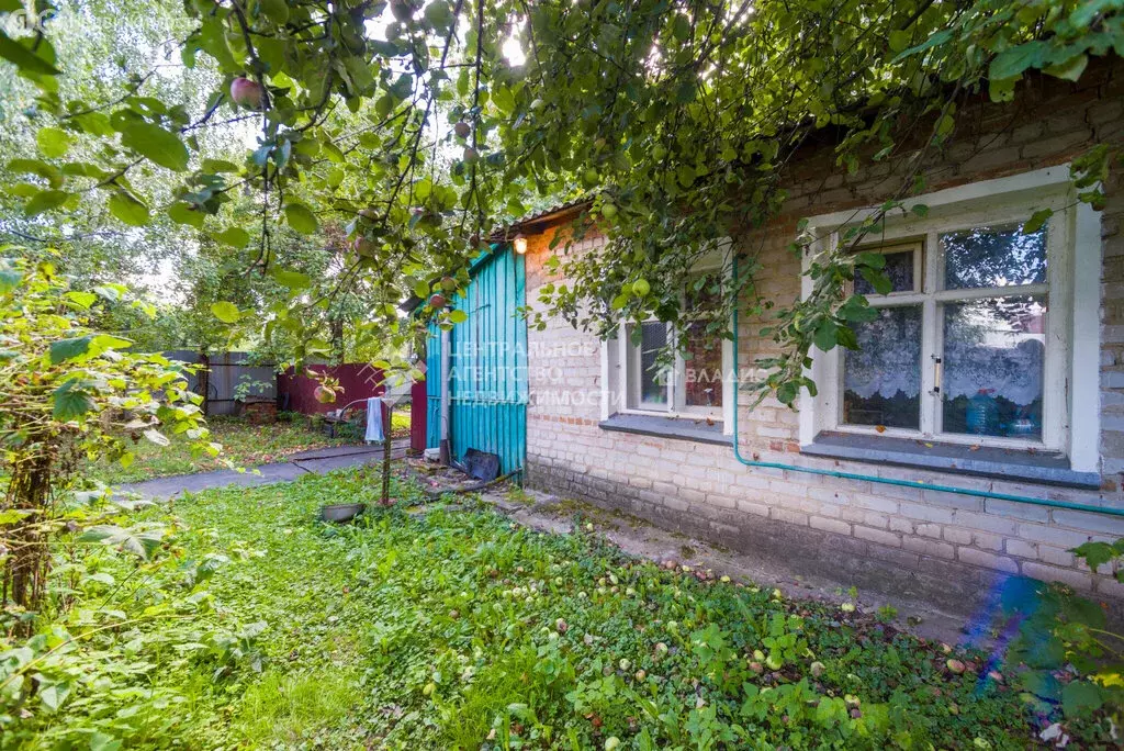 3-комнатная квартира: село Костино, Луговая улица, 2/1 (55.2 м) - Фото 1