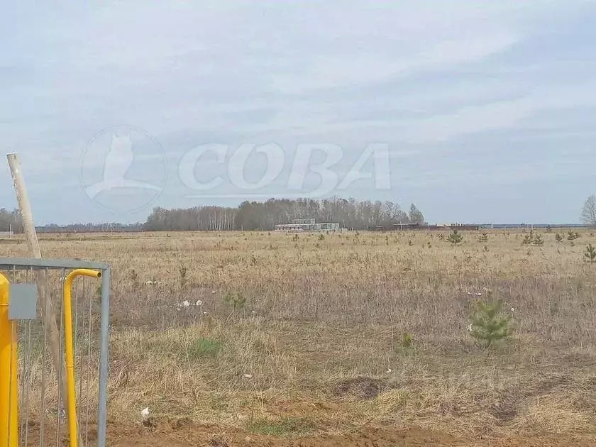 Участок в Тюменская область, Тюменский район, Новокаменский кп  (16.14 ... - Фото 1