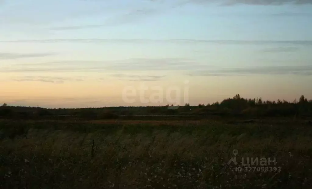 Участок в Тюменская область, Тюмень Рябинка-2 садовое товарищество,  ... - Фото 2