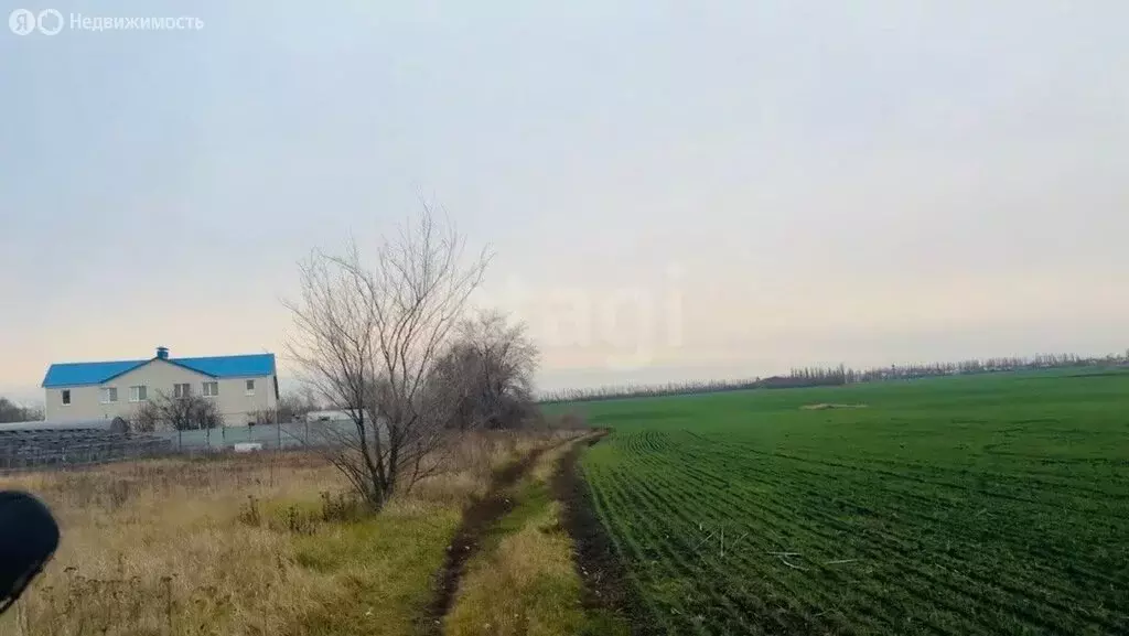 Участок в Воронеж, микрорайон Подклетный (7.94 м) - Фото 1