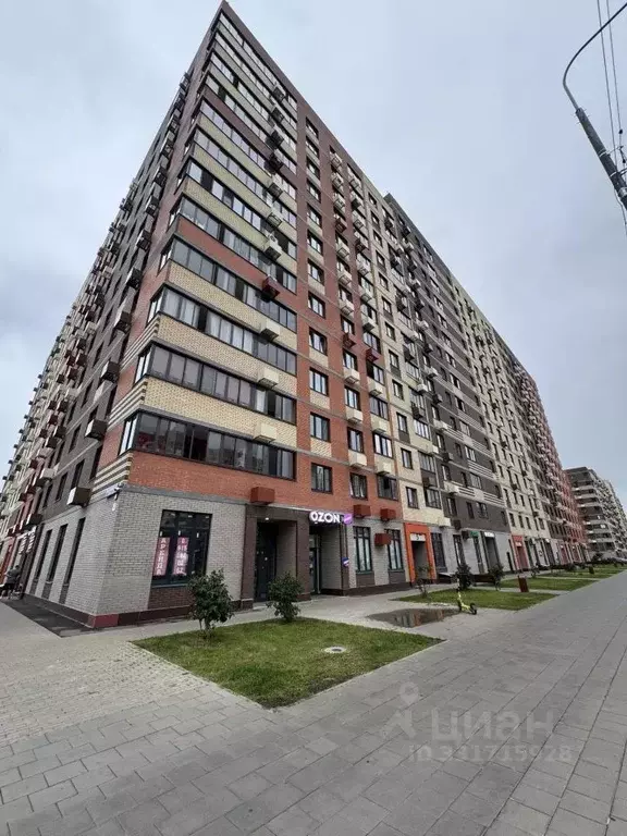 Помещение свободного назначения в Московская область, Пушкино ул. ... - Фото 1