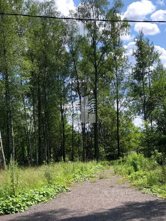 Участок в Московская область, Домодедово городской округ, д. ... - Фото 1