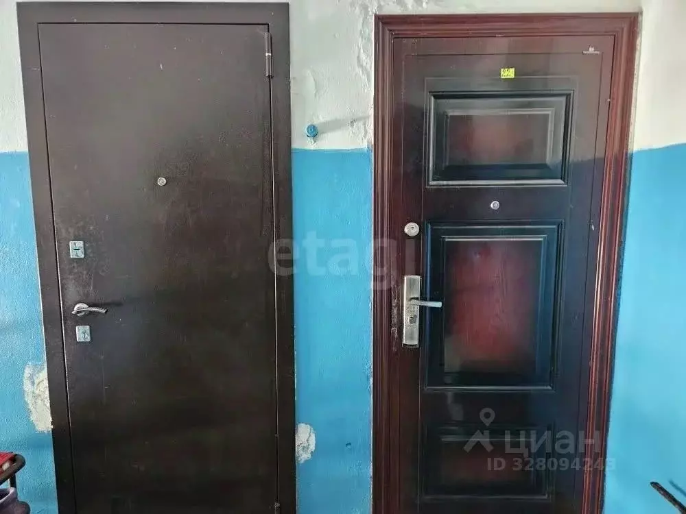 2-к кв. Курганская область, Каргапольский муниципальный округ, с. Чаши ... - Фото 2