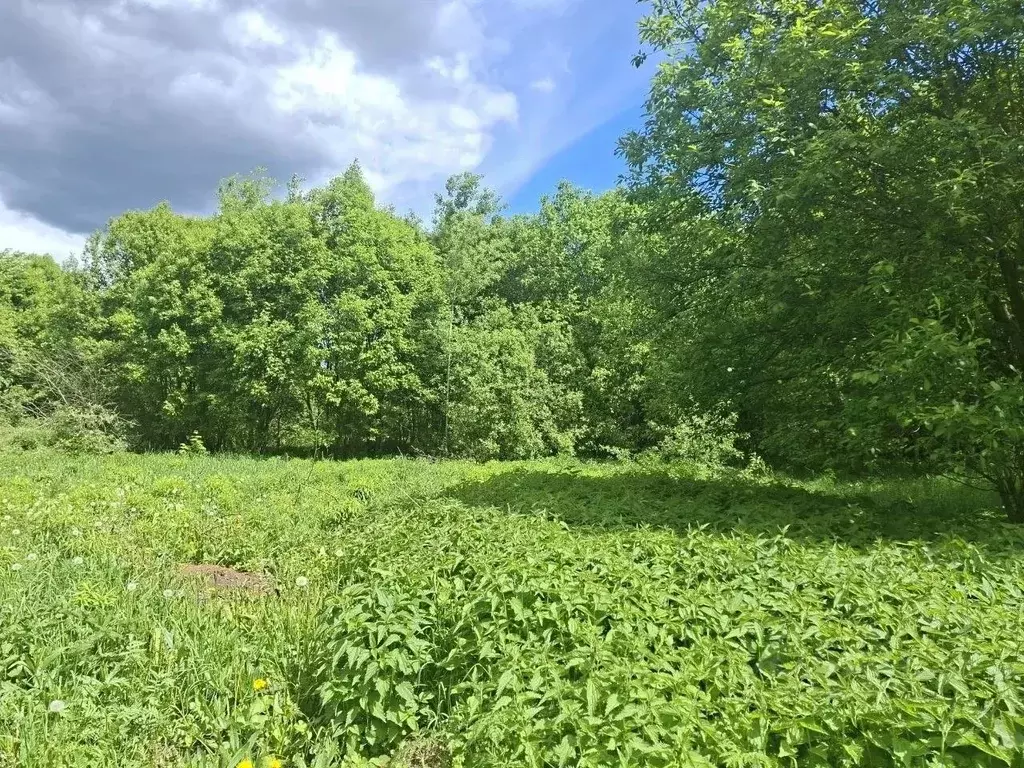 Участок в Московская область, Мытищи городской округ, д. Долгиниха, д. ... - Фото 2
