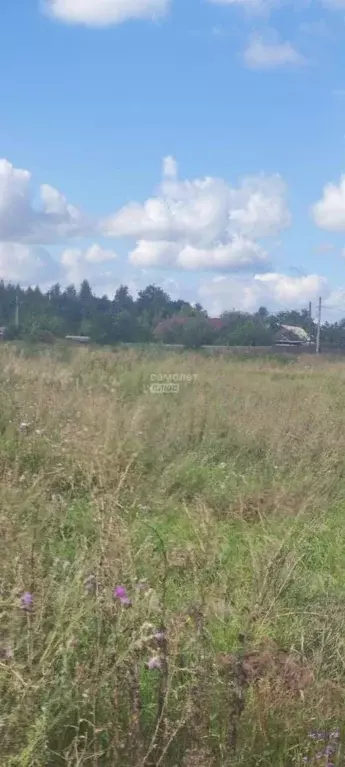 Участок в Воронежская область, Рамонский район, Новоживотинновское ... - Фото 1