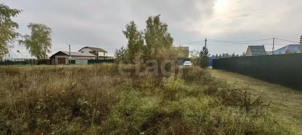 Участок в Московская область, Богородский городской округ, д. Шульгино ... - Фото 1