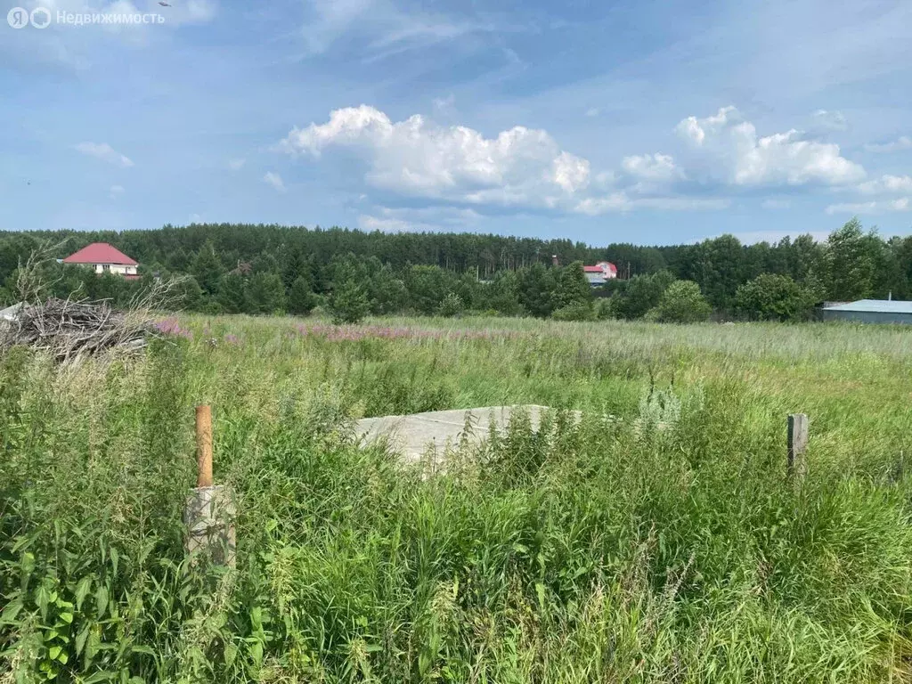 Участок в Мезенское, Главная улица, 4 (15 м) - Фото 1