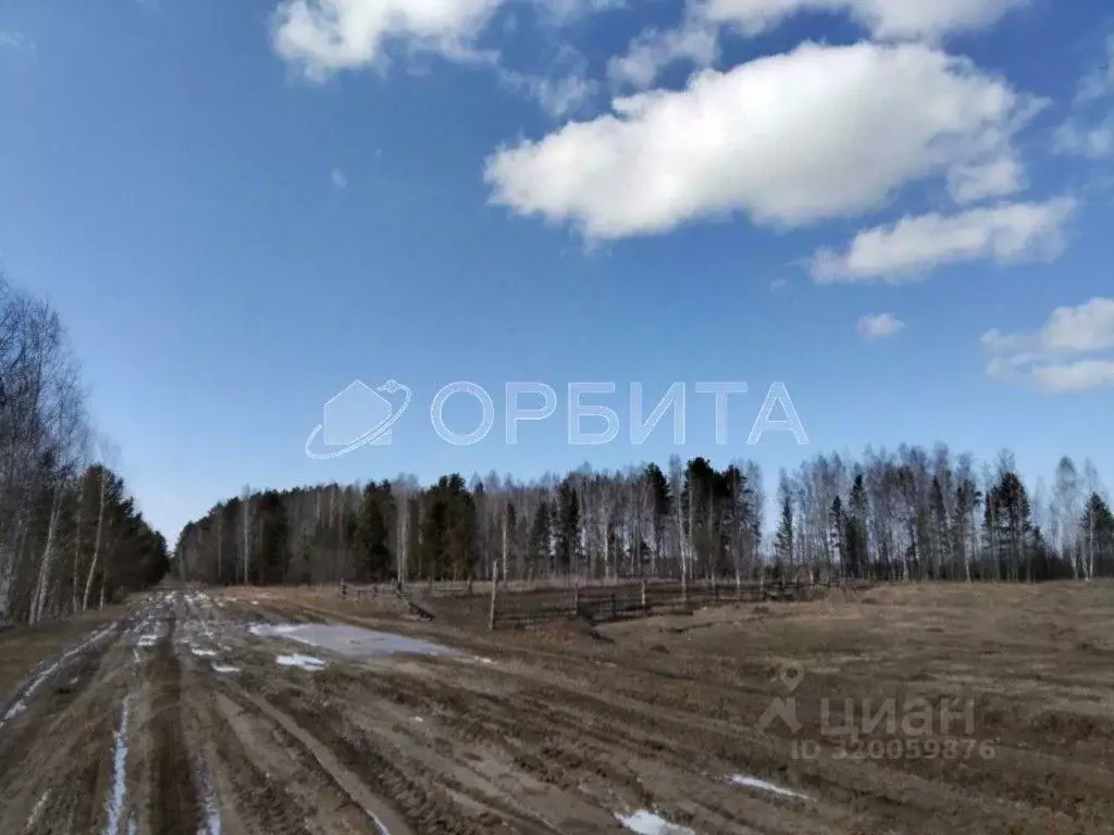 Участок в Тюменская область, Нижнетавдинский район, пос. Кунчур ул. ... - Фото 0
