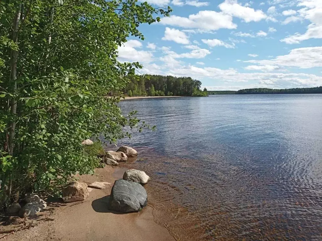Дом в Карелия, Сегежский муниципальный округ, Сенгуба СНТ 80 (80 м) - Фото 1