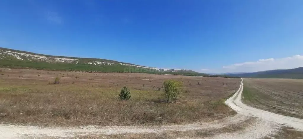 Участок в Севастополь ул. Ленина (266.0 сот.) - Фото 2