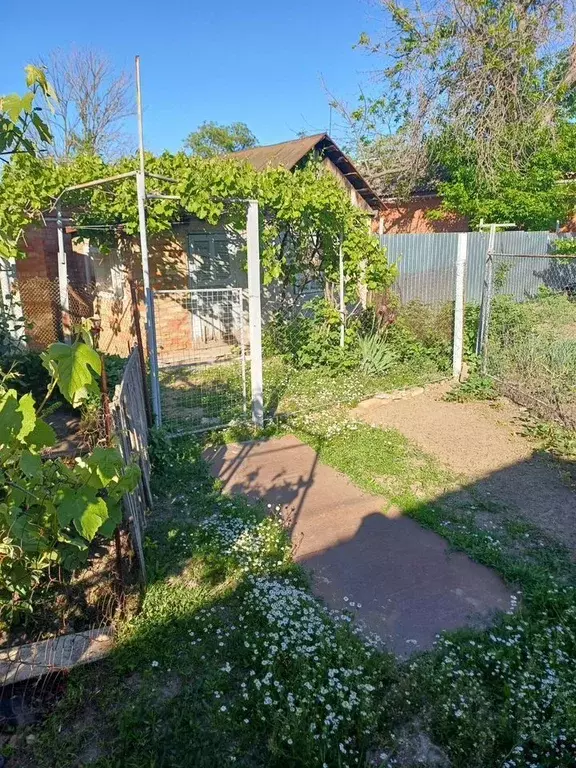Дом в Краснодарский край, Ейск Московская ул. (33 м) - Фото 1