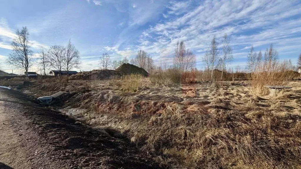Участок в Ленинградская область, Ломоносовский район, Пениковское ... - Фото 1
