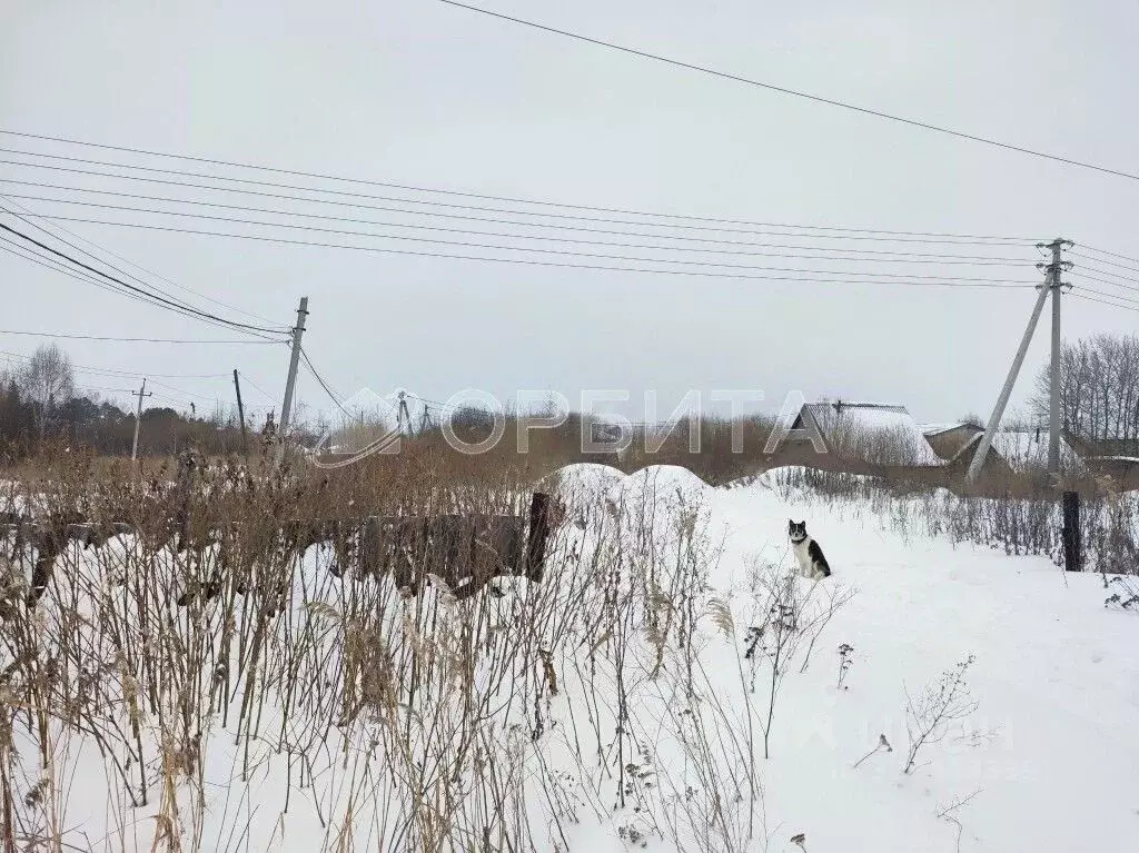 Участок в Тюменская область, Тюмень Тополя СНТ, ул. 10-я (4.75 сот.) - Фото 1