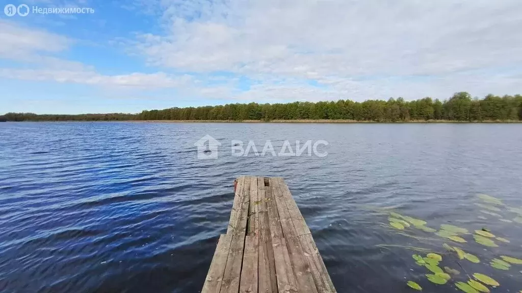 Участок в Владимирская область, Камешковский муниципальный округ, ... - Фото 2