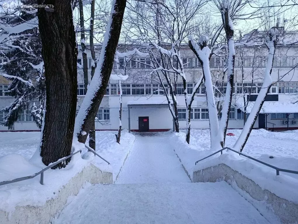 Офис (54 м) - Фото 1