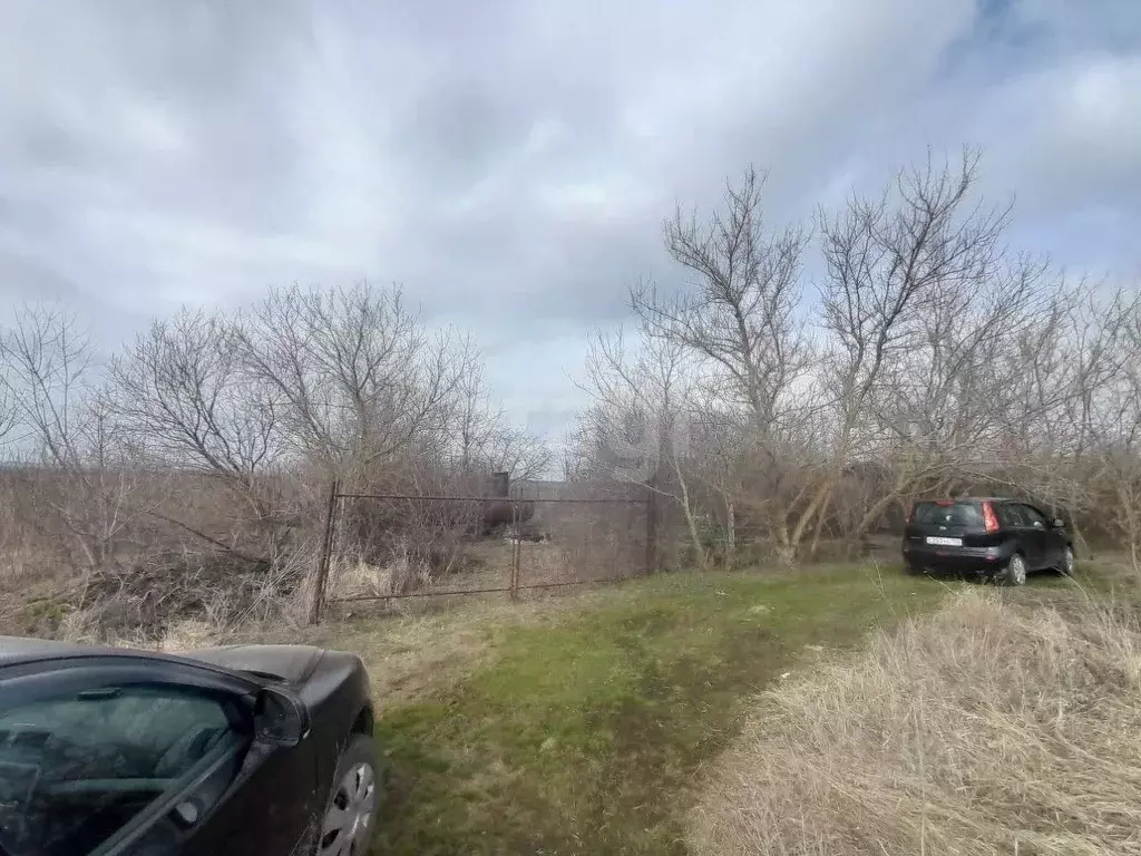 Участок в Саратовская область, Балашовский район, Хоперское ... - Фото 1