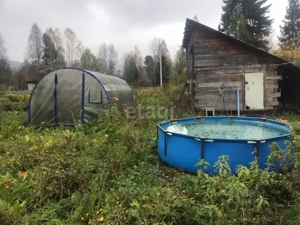 Дом в Кемеровская область, Междуреченск Рыбацкая ул. (38 м) - Фото 0