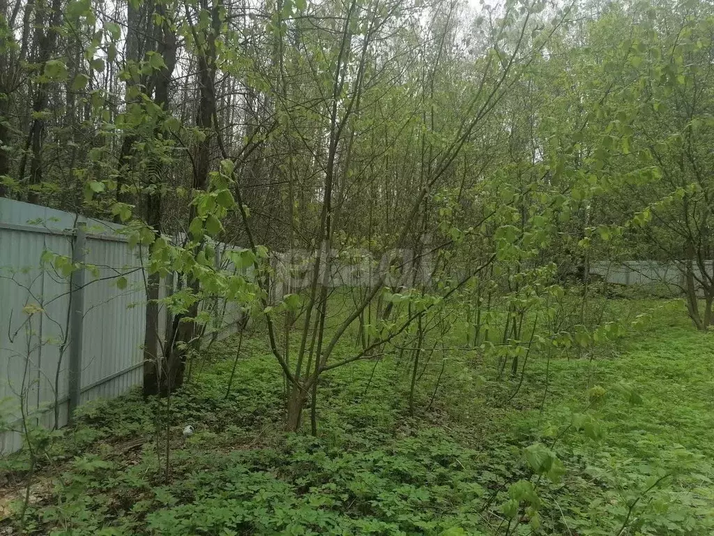 Участок в Московская область, Щелково городской округ, Планета СНТ 59 ... - Фото 0