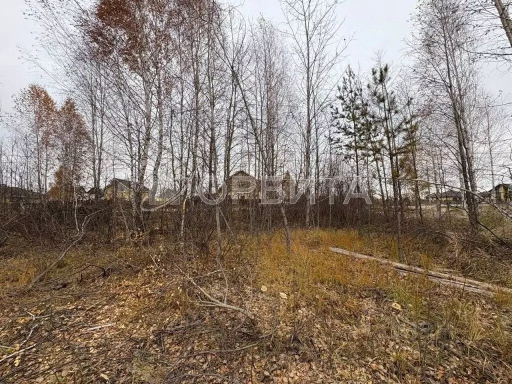 Участок в Тюменская область, Тюменский муниципальный округ, Винзили ... - Фото 2