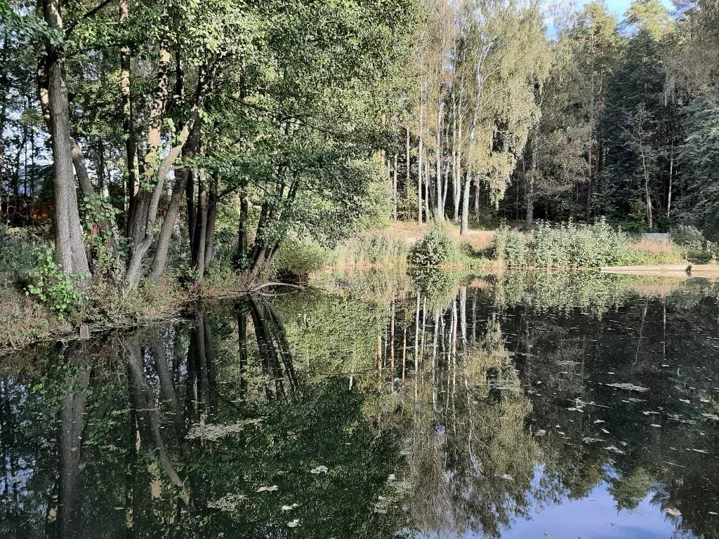 Продается участок в с. Домодедово - Фото 2