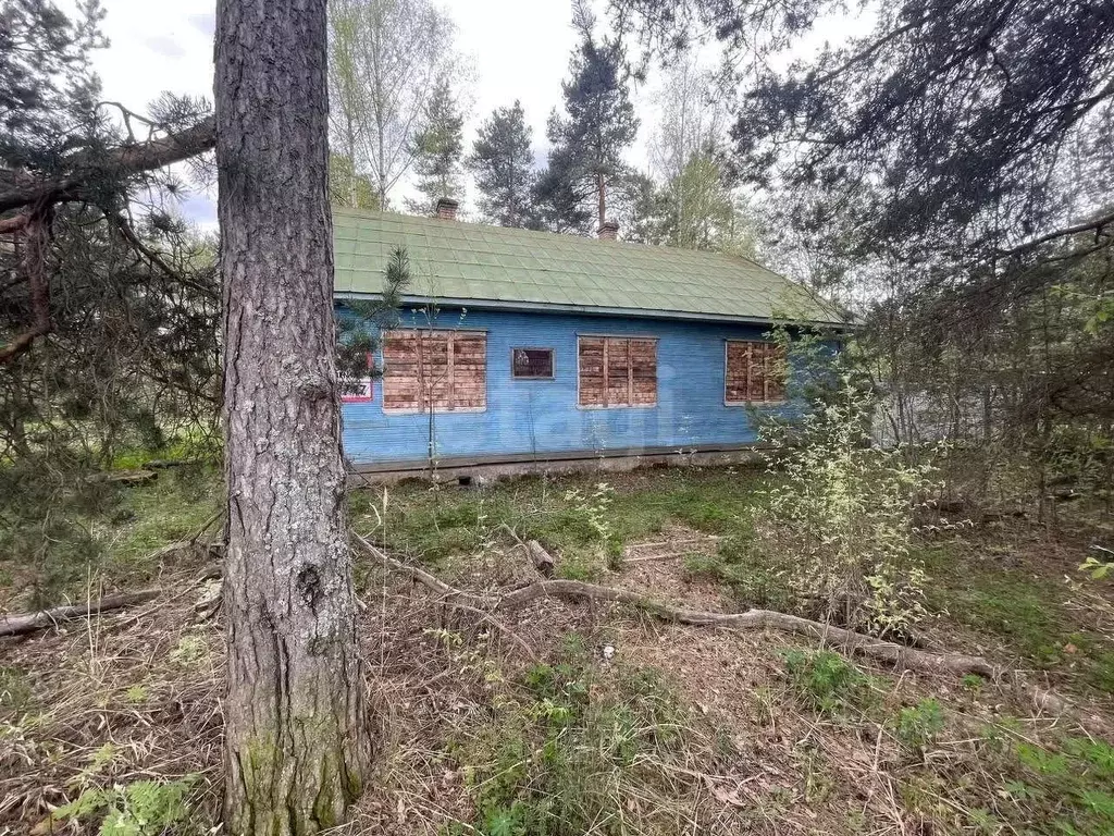 Дом в Вологодская область, Чагода рп пер. Производственный, 9 (97 м) - Фото 1