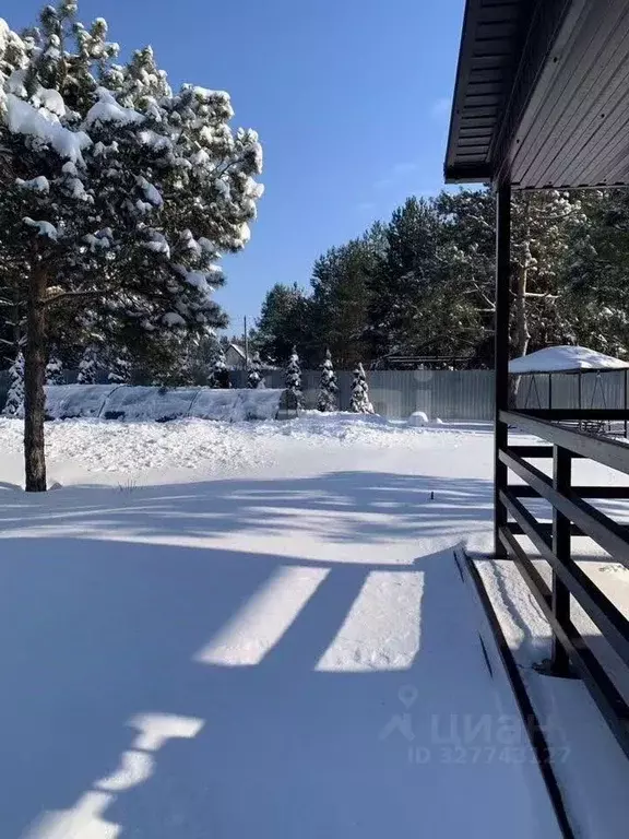 Участок в Воронежская область, Рамонский район, Новоживотинновское ... - Фото 2