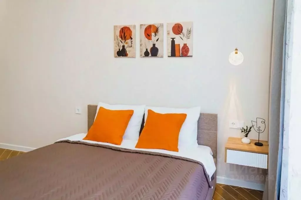 1-к кв. Краснодарский край, Сочи ул. Ленина, 290/7к2 (22.0 м) - Фото 2