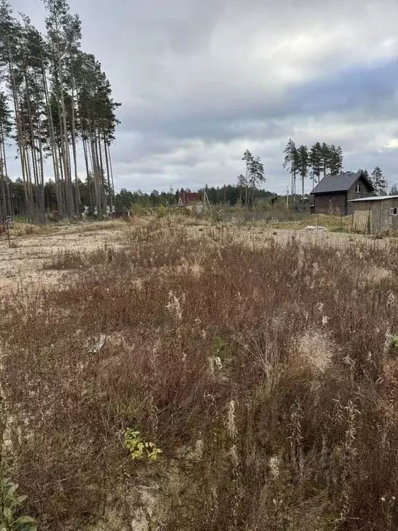 Участок в Ленинградская область, Сосновый Бор ул. Озерная (9.0 сот.) - Фото 1