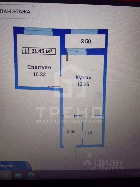 1-к кв. Ленинградская область, Мурино Всеволожский район, просп. ... - Фото 2