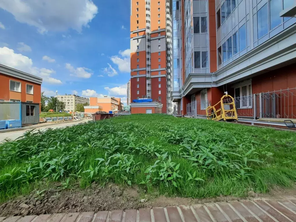 1-к кв. Санкт-Петербург ул. Кустодиева, 7к1 (41.3 м) - Фото 0