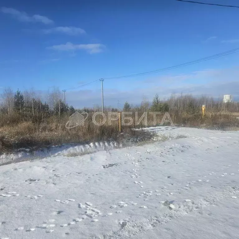 Участок в Тюменская область, Тюменский муниципальный округ, д. ... - Фото 2