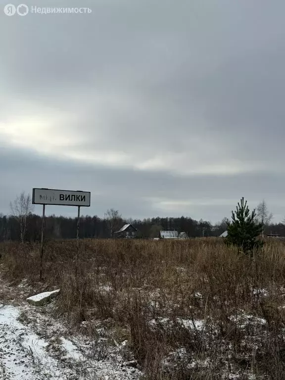 Участок в городской округ Владимир, деревня Вилки, Центральная улица ... - Фото 0