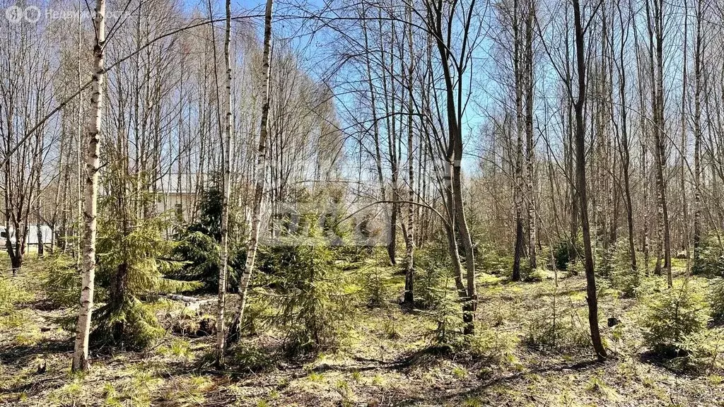 Участок в Одинцовский городской округ, посёлок дома отдыха Ершово (12 ... - Фото 2
