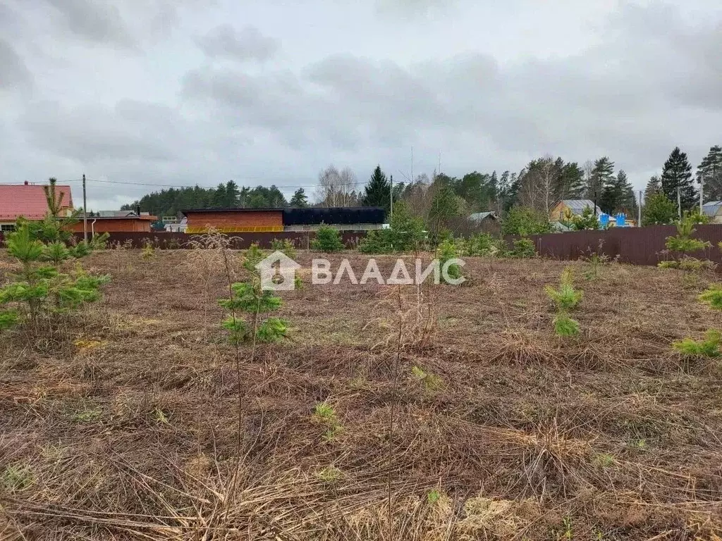 Участок в Московская область, Щелково городской округ, д. Вторая ... - Фото 1