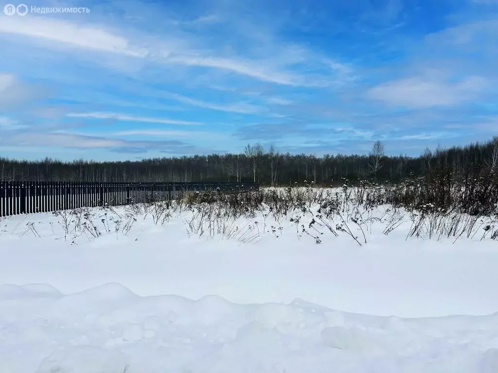 Участок в Московская область, Раменский муниципальный округ, КП ... - Фото 2