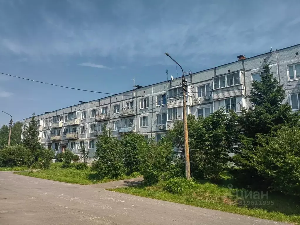 1-к кв. Московская область, Воскресенск городской округ, с. Невское 62 ... - Фото 0
